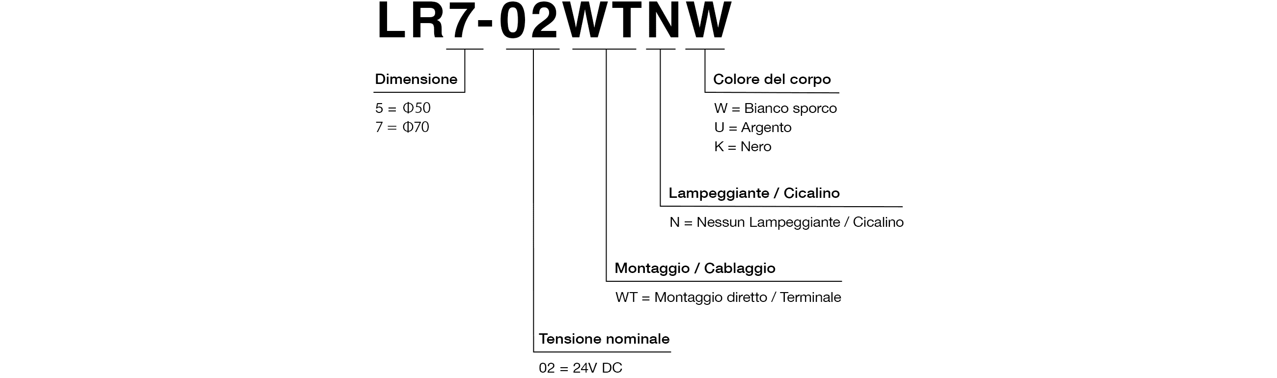 Codice Modello
