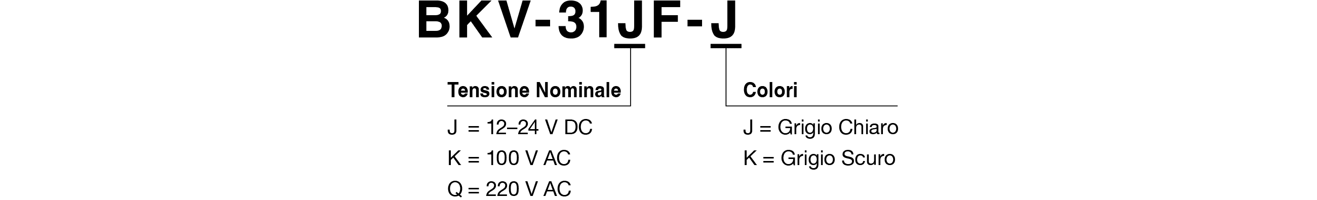 Codice Modello