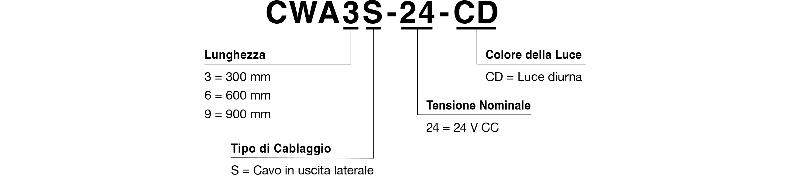 Codice Modello