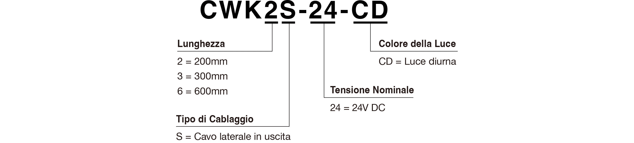 Codice Modello