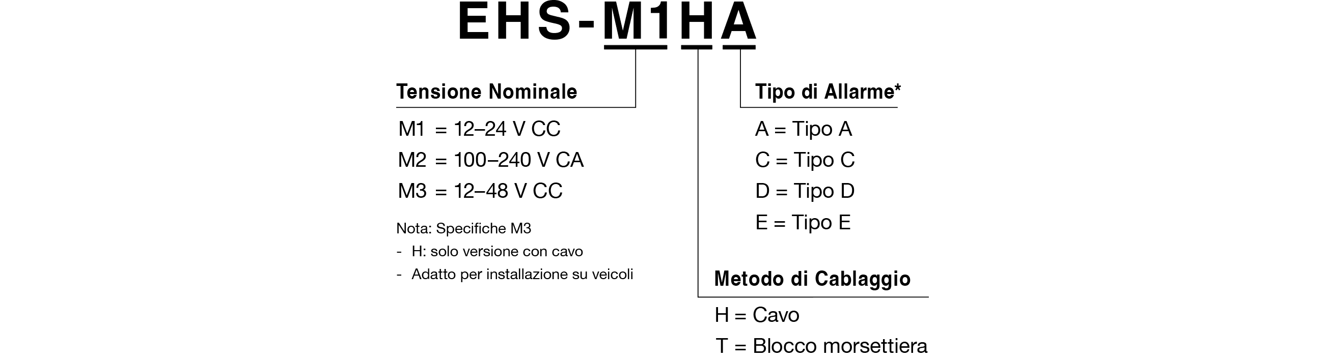 Codice Modello