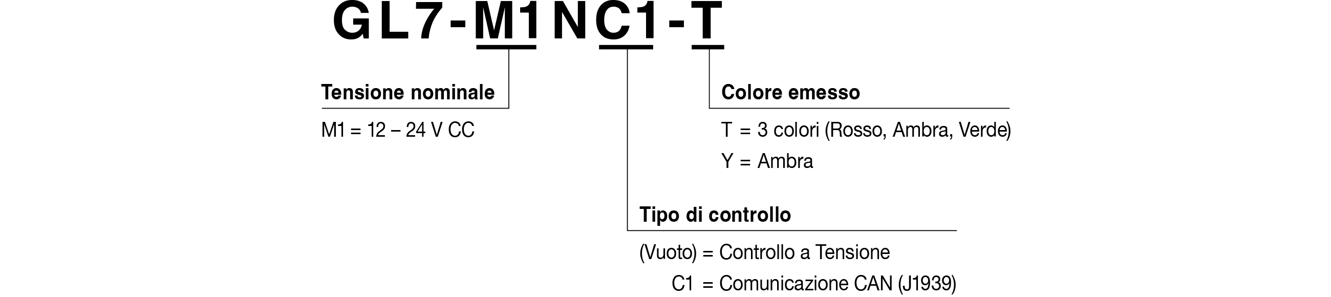 Codice Modello