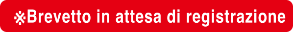 *Brevetto in attesa di registrazione
