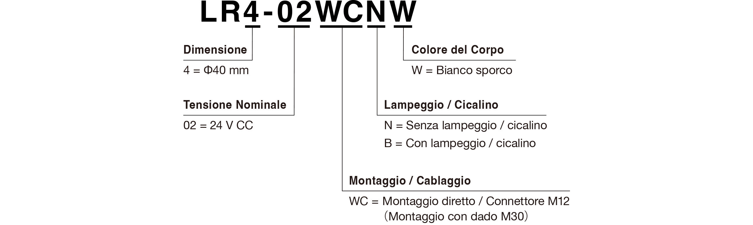 Codice Modello