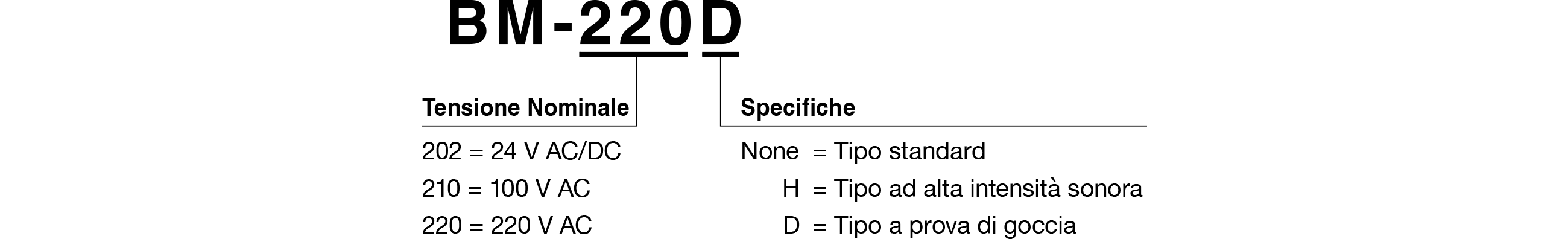 Codice Modello