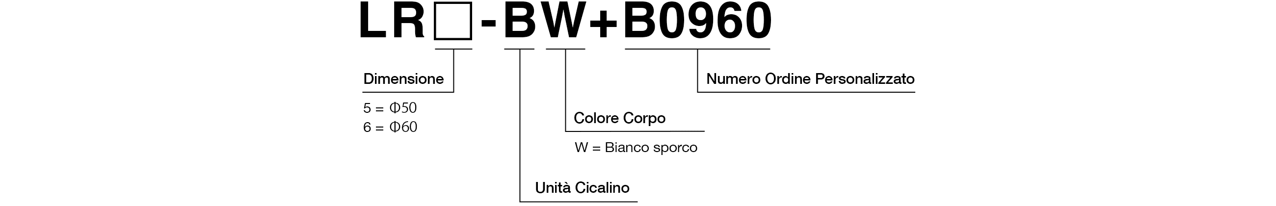 Codice Modello