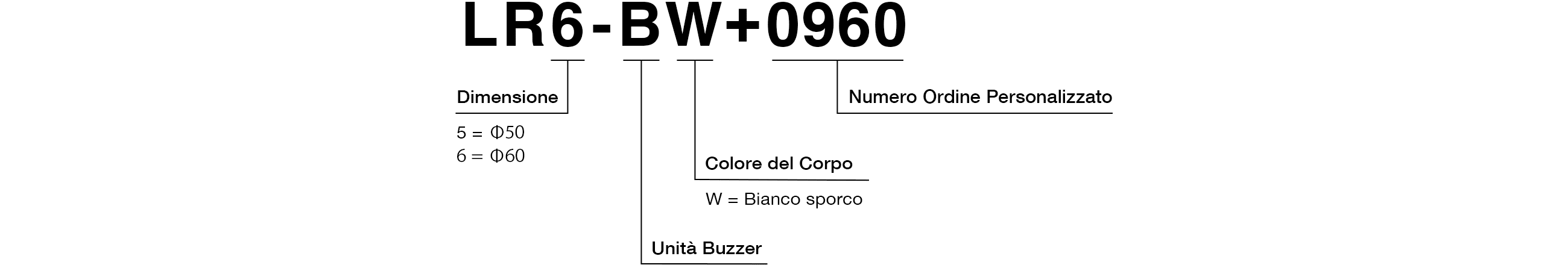 Codice Modello