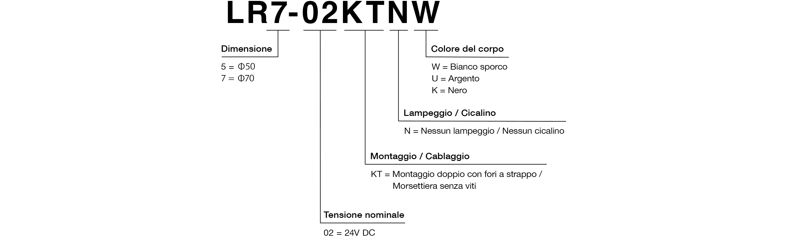 Codice Modello